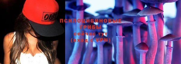 не бодяженный Алзамай