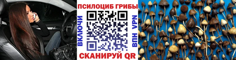 Псилоцибиновые грибы мухоморы  магазин    нарко площадка клад  Верхоянск 